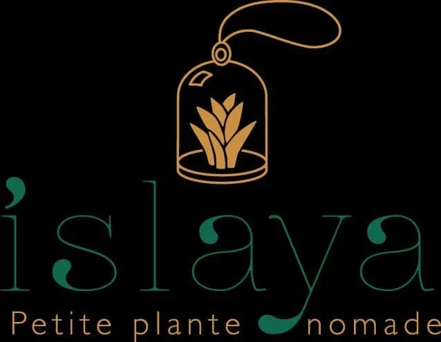 Islaya — branding and web concept, Google x Oreegami hackathon winner
